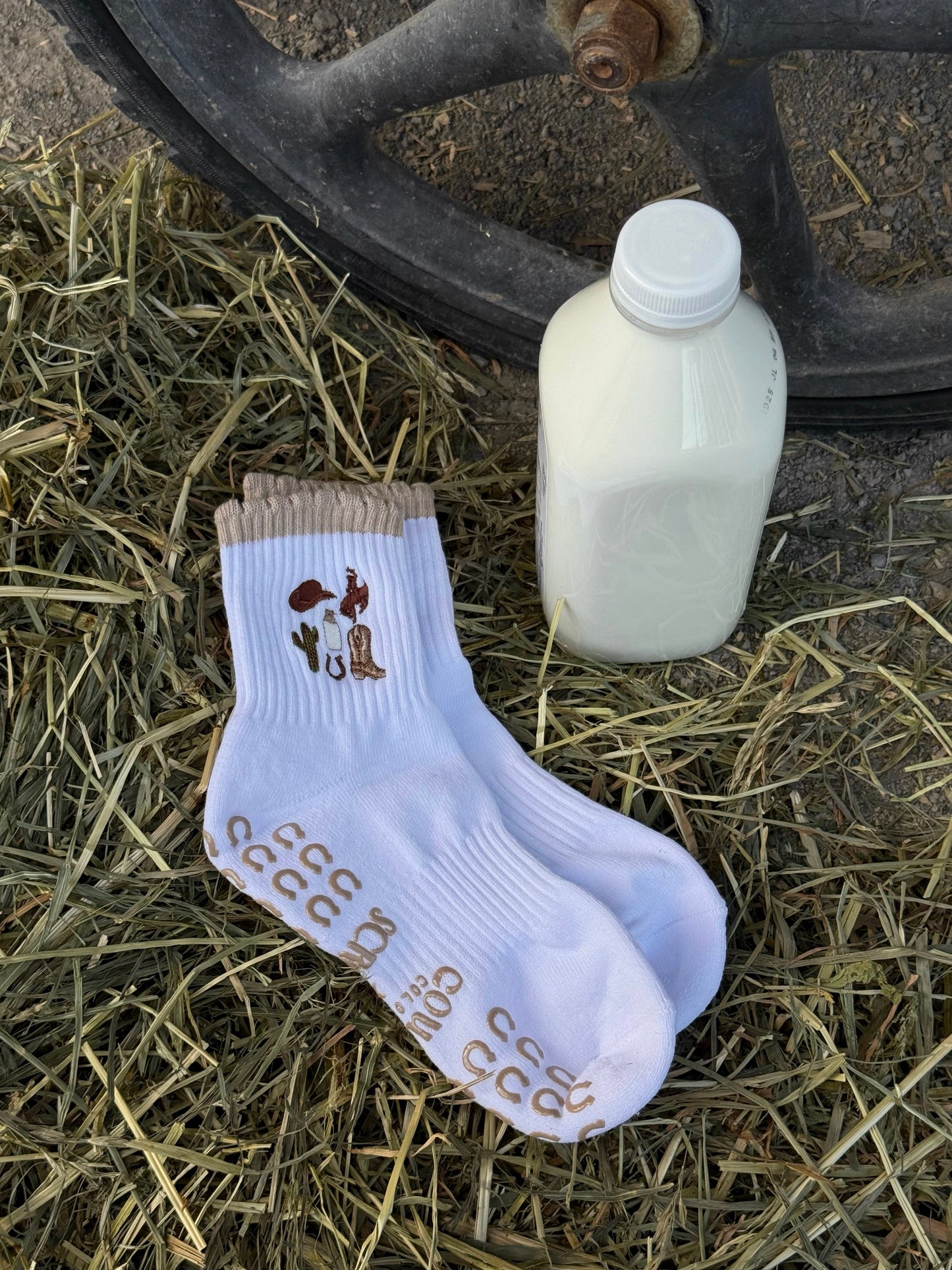 Cowboy Colostrum x Scrolls